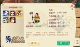 九戒加点,探寻神秘世界的奥秘之旅