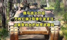 红旗升级加点,解锁全新战斗力的奥秘解析