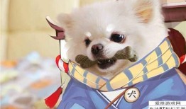 平安京犬神半肉出装