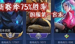 s8国服第一宫本出装,巅峰之路，装备解析与实战攻略