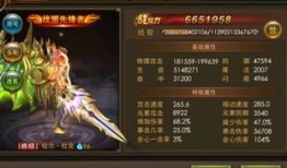 永恒纪元战士反伤加点,反伤加点策略解析与实战指南