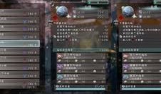 仁王刀加点,加点策略解析与实战技巧揭秘