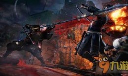 仁王忍加点,加点策略解析与实战技巧