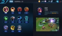 王者荣耀达摩技能加点,掌握无敌战士的精髓