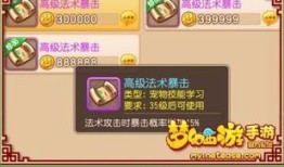 耐群法加点,揭秘高效团队协作的奥秘