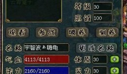 问道海龟加点,打造最强海龟，畅游仙界无阻