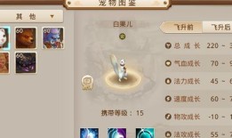 白果儿怎么加点,养生美食新主张