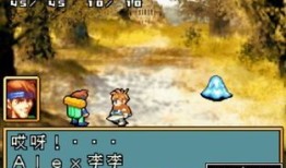 光明之魂2格斗家加点