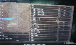 仁王忍加点,加点策略解析与实战技巧