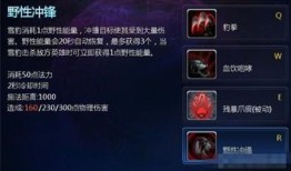 英雄之刃雪豹出装,英雄之刃中的雪豹装备攻略解析