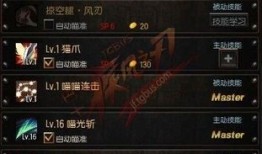 风舞星加点图,技能搭配与属性提升攻略