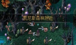 命运之石加点,揭开命运的神秘面纱