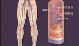 力DF静脉加点,揭秘现代医学的神奇力量