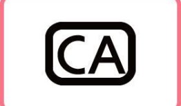 ca加点,构建未来智能时代的基石