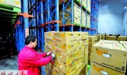 洛阳加点,揭秘历史名城魅力