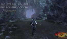 神鬼寓言3攻略,全面解析，轻松通关秘籍