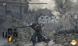 黑魂3安里剑加点,剑舞狂潮，一剑破万敌