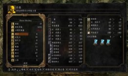 黑暗之魂法师加点,神秘力量与智慧之光