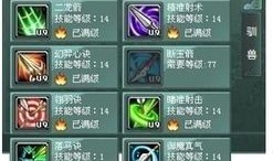 征途2s技能加点,打造无敌战神之路