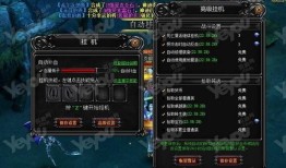 奇迹私服战士pk加点