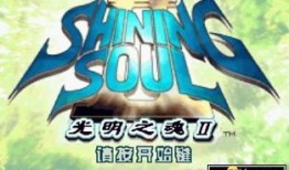 光明之魂2格斗家加点