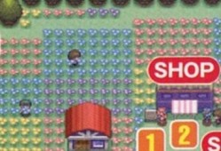 口袋妖怪珍珠攻略,全面解析，轻松征服宝可梦世界