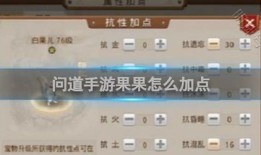 白果儿怎么加点,养生美食新主张