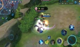 钟馗出肉装视频,视频解析与实战技巧