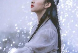 小龙女出装顺序图,从入门到精通的出装顺序揭秘