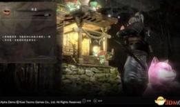 仁王体加点,探寻东方武侠的神秘魅力