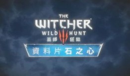 黑桐谷歌巫师3加点,巫师加点攻略，解锁最强战力