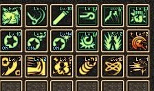 完美国际巫师加点