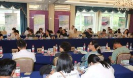 耀眼里没有肉出装,揭秘无肉出装策略