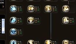 犬 加点,跨越物种的深厚纽带