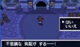 口袋妖怪黑白2二周目图文攻略,轻松通关秘籍大揭秘