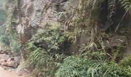 只要加点油,焕发无限活力