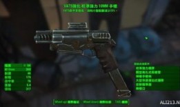 辐射2加点,废土重生，探寻末世传奇