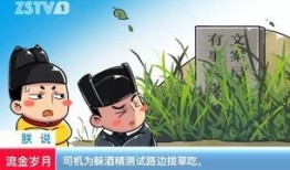 智障大测试4攻略,轻松通关，解锁隐藏关卡