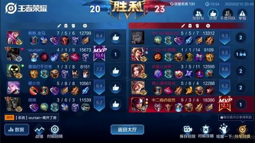 巅峰赛加点,解锁英雄潜能，迈向荣耀巅峰