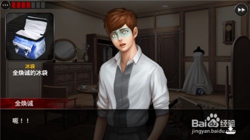 口袋侦探第二章攻略,解锁神秘谜题，揭开真相面纱