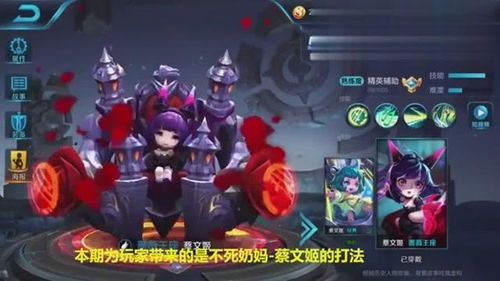 蔡文姬奶妈出装,打造最强辅助，助力团队胜利