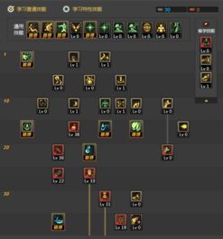 dnf90毒王加点,全面解析技能搭配与实战技巧 dnf90毒王加点,全面解析技能搭配与实战技巧