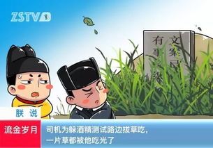 智障大测试4攻略,轻松通关,解锁隐藏关卡 智障大测试4攻略,轻松通关,解锁隐藏关卡