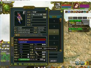 问道法木加点,解锁角色潜力，迈向巅峰之路