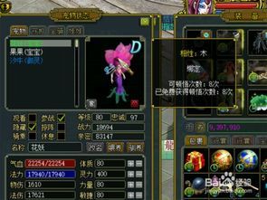 问道法木加点,解锁角色潜力，迈向巅峰之路