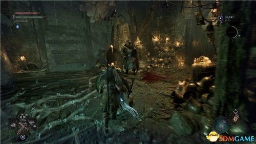 堕落之王加点,加点之路，探寻黑暗力量的极致觉醒