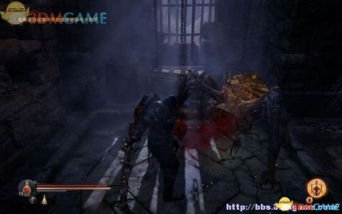 堕落之王加点,加点之路，探寻黑暗力量的极致觉醒