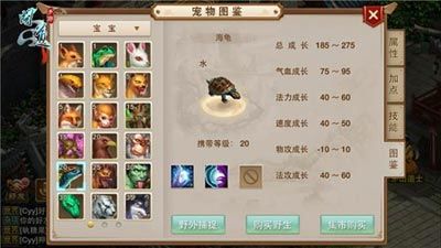 问道海龟加点,打造最强海龟，畅游仙界无阻