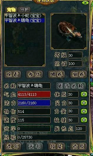 问道海龟加点,打造最强海龟，畅游仙界无阻