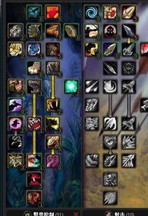 兽王猎 天赋加点